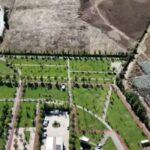 daniel baluta se grabeste cu parcul donald trump sedinta extraordinara de consiliu local dupa o consultare publica suspecta de fraudare a votului 6a157aa57137e