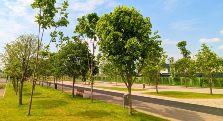 extinderea parcului tudor arghezi se va numi parcul donald trump dupa ce maia sandu conducea initial sondajul 6a13f0e507b79
