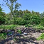 fara betoane si suprafete sintetice in parcul serele militare conditiile asociatiei initiativa prelungirea ghencea pentru noul spatiu verde din sectorul 6 6a0ef132d89f8