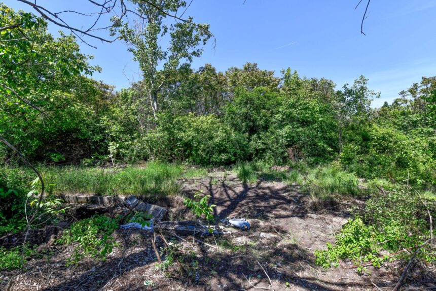 fara betoane si suprafete sintetice in parcul serele militare conditiile asociatiei initiativa prelungirea ghencea pentru noul spatiu verde din sectorul 6 6a0ef132d89f8