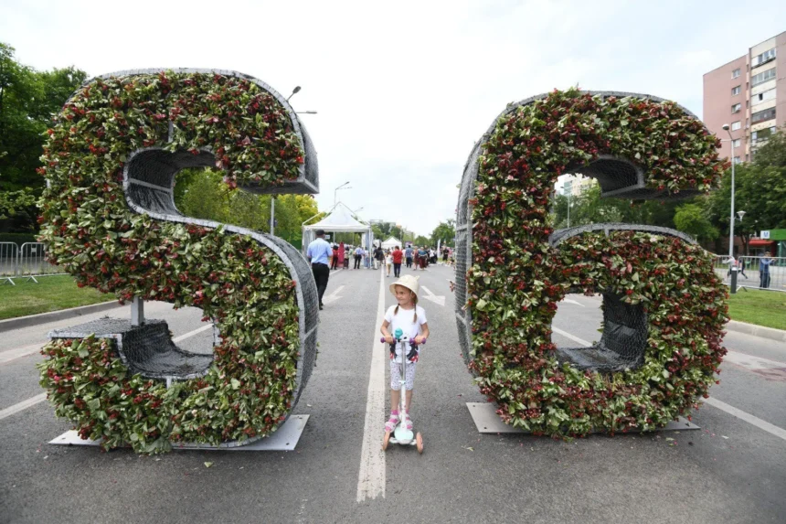 sector 6 peste 35 000 de euro pentru organizarea west side flower fest 2026 6a0eaacda748d