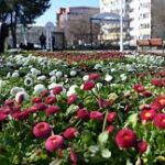 ziua copilariei sarbatorita in parcul florilor din sectorul 2 6a1a5023dbc1f