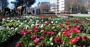 ziua copilariei sarbatorita in parcul florilor din sectorul 2 6a1a5023dbc1f