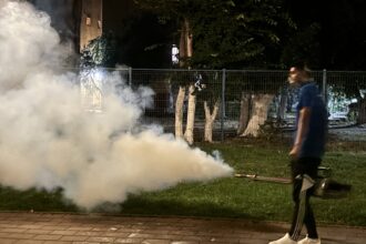 al patrulea tratament impotriva tantarilor va incepe in aceasta seara 6a3dacdfb9c4f