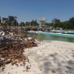 chestionar pentru strandul tineretului bucurestenii sunt intrebati cum vor sa arate viitorul parc sportiv anuntat de primarul george tuta inca din 2024 6a3ccbe32fd32