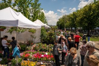 concerte ateliere interactive si spectacole la west side flower fest 2026 programul evenimentului 6a215822b279e