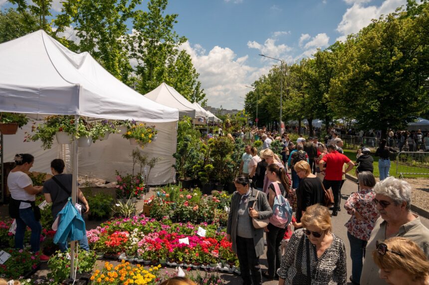 concerte ateliere interactive si spectacole la west side flower fest 2026 programul evenimentului 6a215822b279e