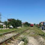 exclusiv dupa ce a asfaltat peste o magistrala de gaz robert negoita mai ignora o mare companie nationala a plantat arbori in calea trenurilor nu a cerut aviz 6a2b53ff3e1e4