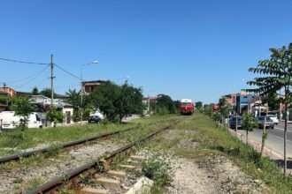 exclusiv dupa ce a asfaltat peste o magistrala de gaz robert negoita mai ignora o mare companie nationala a plantat arbori in calea trenurilor nu a cerut aviz 6a2b53ff3e1e4