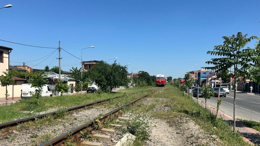 exclusiv dupa ce a asfaltat peste o magistrala de gaz robert negoita mai ignora o mare companie nationala a plantat arbori in calea trenurilor nu a cerut aviz 6a2b53ff3e1e4