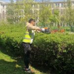 licitatia de zeci de milioane pentru spatiile verzi din sectorul 1 contestata de peisagisti calcule trase la indigo si model administrativ invechit 6a2c0ad043b48