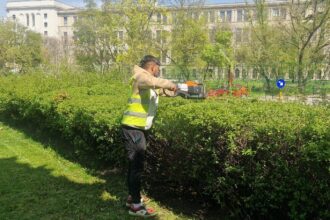 licitatia de zeci de milioane pentru spatiile verzi din sectorul 1 contestata de peisagisti calcule trase la indigo si model administrativ invechit 6a2c0ad043b48