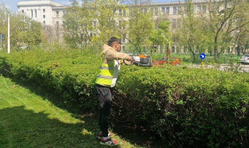 licitatia de zeci de milioane pentru spatiile verzi din sectorul 1 contestata de peisagisti calcule trase la indigo si model administrativ invechit 6a2c0ad043b48