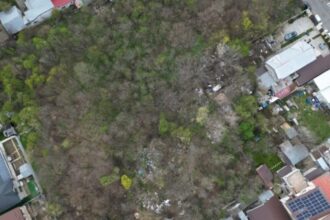reincep demersurile pentru amenajarea parcului moroeni blocat in 2025 de noul primar al sectorului 2 intarzierea costa aproape 200 000 de euro in plus 6a1ed14605601