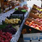 sectorul 1 ar putea avea mai multe piete volante si targuri parteneriat cu academia de stiinte agricole pe masa consiliului local 6a1d7fc20431f