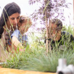 14 initiative civice primesc peste 910 000 de lei pentru a transforma peste 10 000 de metri patrati din capitala in spatii mai verzi si mai prietenoase 6a554c3ecc966