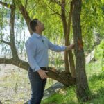 ce se intampla cu arborii de pe malul lacului herastrau primaria promite evaluarea fiecarui copac 6a5664ff155b6