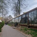 ce se intampla cu carciumile din herastrau dupa reabilitarea parcului ciucu numarul teraselor ar trebui sa fie cat mai mic 6a6ca43169444