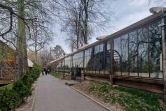 ce se intampla cu carciumile din herastrau dupa reabilitarea parcului ciucu numarul teraselor ar trebui sa fie cat mai mic 6a6ca43169444