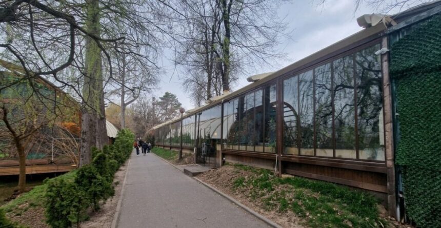 ce se intampla cu carciumile din herastrau dupa reabilitarea parcului ciucu numarul teraselor ar trebui sa fie cat mai mic 6a6ca43169444