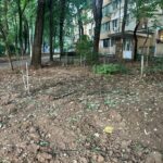 dezbatere despre problemele locuitorilor din cartierul pajura la primaria sectorului 1 s au taiat pur si simplu gardurile vii nu a existat nicio consultare cu cetatenii 6a60645fa4e3f