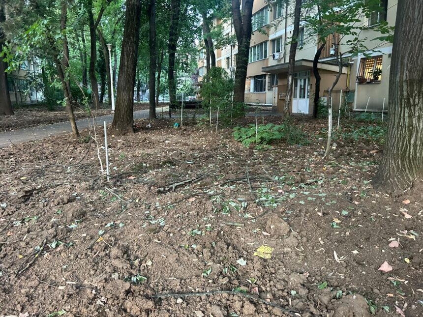 dezbatere despre problemele locuitorilor din cartierul pajura la primaria sectorului 1 s au taiat pur si simplu gardurile vii nu a existat nicio consultare cu cetatenii 6a60645fa4e3f