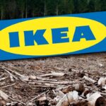 greenpeace padurile naturale din romania ajung mobila ikea in 13 tari europene 6a6861ba45bb0