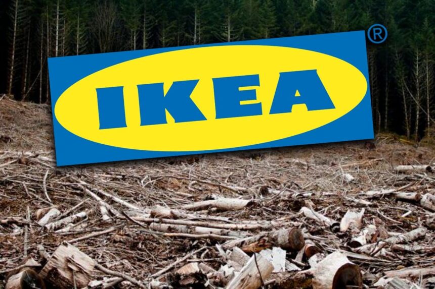 greenpeace padurile naturale din romania ajung mobila ikea in 13 tari europene 6a6861ba45bb0