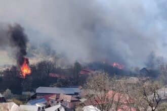 guvernul aloca noi ajutoare pentru persoanele afectate de incendiul din soveja vrancea procedura simplificata si despagubiri de pana la 90 din valoarea caselor 6a4f8241ea45b