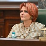 lia olguta vasilescu despre anticipate nu stiu cati parlamentari au interesul sa voteze 6a568ede96d54