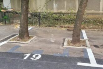 locuri de parcare facute la misto de primaria sectorului 4 in fata unei scari intre doi copaci in dreptul unui pasaj pietonal 6a5ea25eb8758