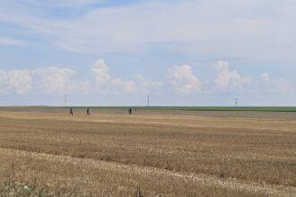 mapn resturi de drona si de racheta interceptoare descoperite in buzau si braila 6a63a6836e402