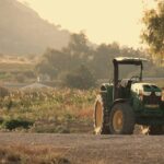 o schimbare a dietei la nivel global ar putea reduce drastic poluarea si salva milioane de vieti cercetatorii atrag atentia asupra agriculturii 6a622d16e1c8f