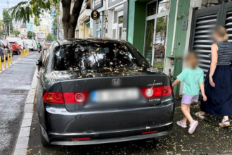 peste 12 000 de amenzi pentru parcare neregulamentara in bucuresti de la inceputul anului cele mai multe sanctiuni au vizat ocuparea abuziva a trotuarului 6a6a479f1c3bf