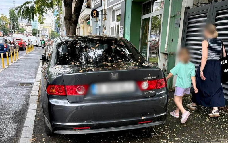 peste 12 000 de amenzi pentru parcare neregulamentara in bucuresti de la inceputul anului cele mai multe sanctiuni au vizat ocuparea abuziva a trotuarului 6a6a479f1c3bf