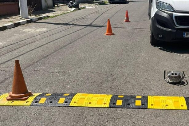 primaria comunei 1 decembrie cumpara 39 de limitatoare de viteza cu peste 53 000 de euro 6a519d8e17167