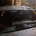 primaria sectorului 2 modifica modul cum acorda despagubiri pentru autoturismele distruse in timpul furtunilor 6a545cb229074