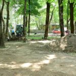 sector 1 aproape 8 000 de metri patrati de spatii verzi din pajura vor fi reamenajati 6a59868f7765d
