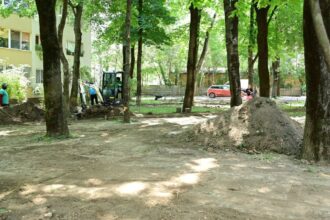 sector 1 aproape 8 000 de metri patrati de spatii verzi din pajura vor fi reamenajati 6a59868f7765d