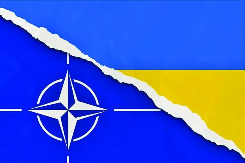 ucraina povara nato 6a4e5180df1ad