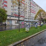 uriasa suma pe care o cheltuie primariile din bucuresti pe tuns iarba si plantat copaci 1 miliard de euro 6a4ec250d3082