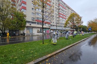 uriasa suma pe care o cheltuie primariile din bucuresti pe tuns iarba si plantat copaci 1 miliard de euro 6a4ec250d3082