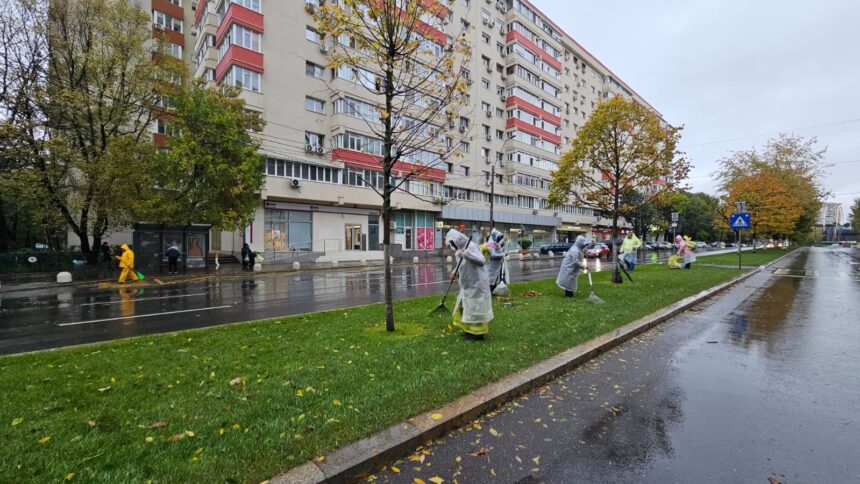 uriasa suma pe care o cheltuie primariile din bucuresti pe tuns iarba si plantat copaci 1 miliard de euro 6a4ec250d3082