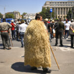 victor negrescu cere sprijin european pentru crescatorii de ovine si caprine afectati de restrictii 6a6c697cb20fe