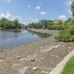 ce imbunatatiri isi doresc bucurestenii sa vada in parcul herastrau surprinzator 125 se declara multumiti de aspectul actual 6a6d6907c7761