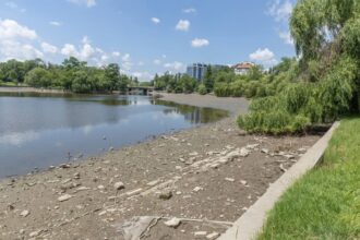 ce imbunatatiri isi doresc bucurestenii sa vada in parcul herastrau surprinzator 125 se declara multumiti de aspectul actual 6a6d6907c7761