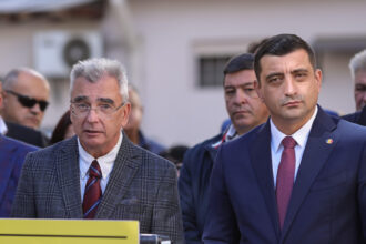 liderul aur petrisor peiu sabotat de iuda simion in interiorul partidului 6a8ea146313c0