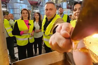 ministrul psd florin barbu asmute institutiile statului asupra jurnalistilor pentru a si ascunde legaturile cu regina achizitiilor publice mihaela neagu 6a6f02a26661a