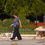 noi politici implementate prin codul urbanismului mai multe spatii verzi conditii mai bune pentru pietoni si biciclisti 6a86c8520928b