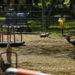 peste 25 de milioane de lei pentru 10 locuri de joaca si trei spatii verzi in sectorul 4 cel mai scump proiect costa aproape 6 milioane de lei 6a807075ad26c